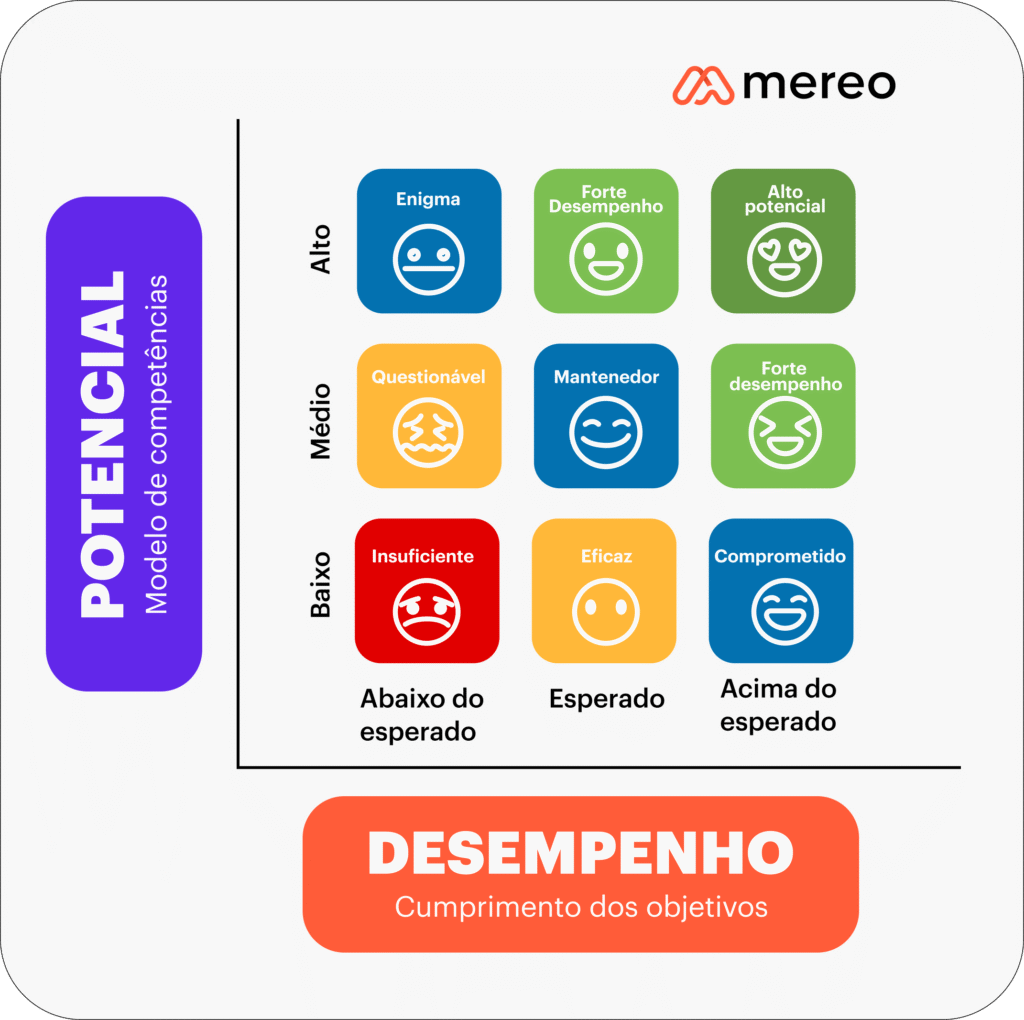 matriz nine box potencial e desempenho